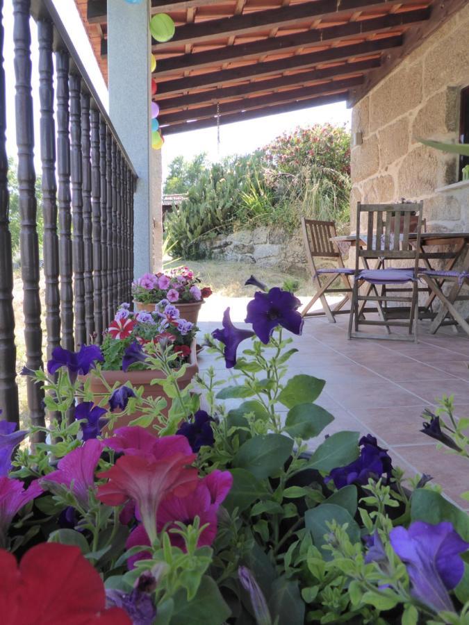 Quinta Do Cobral Villa Oliveira do Hospital Eksteriør billede